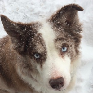 Fundraising Page: Stacy Reeder